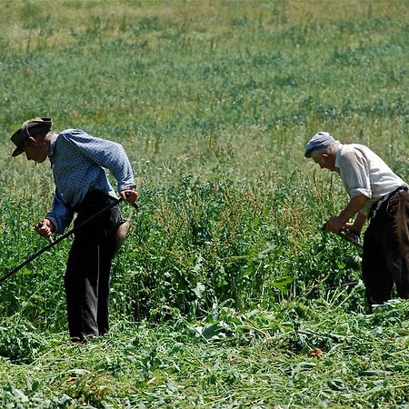 Turisme Rural Lo Palle De Cal Bosch Llagunes Zewnętrze zdjęcie