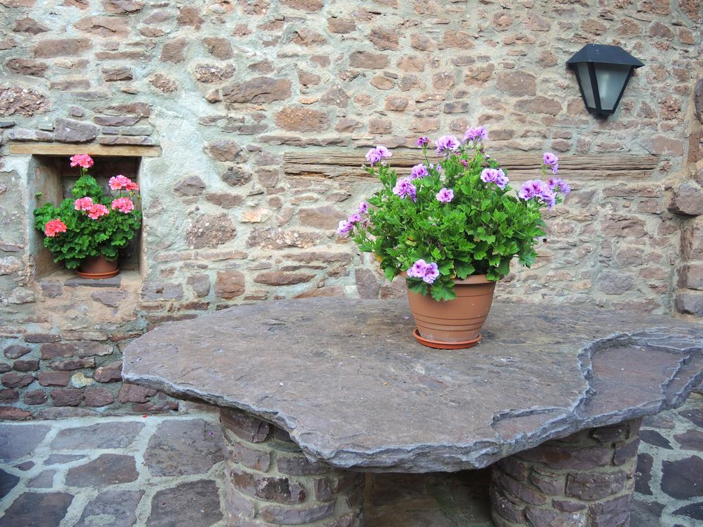 Turisme Rural Lo Palle De Cal Bosch Llagunes Zewnętrze zdjęcie