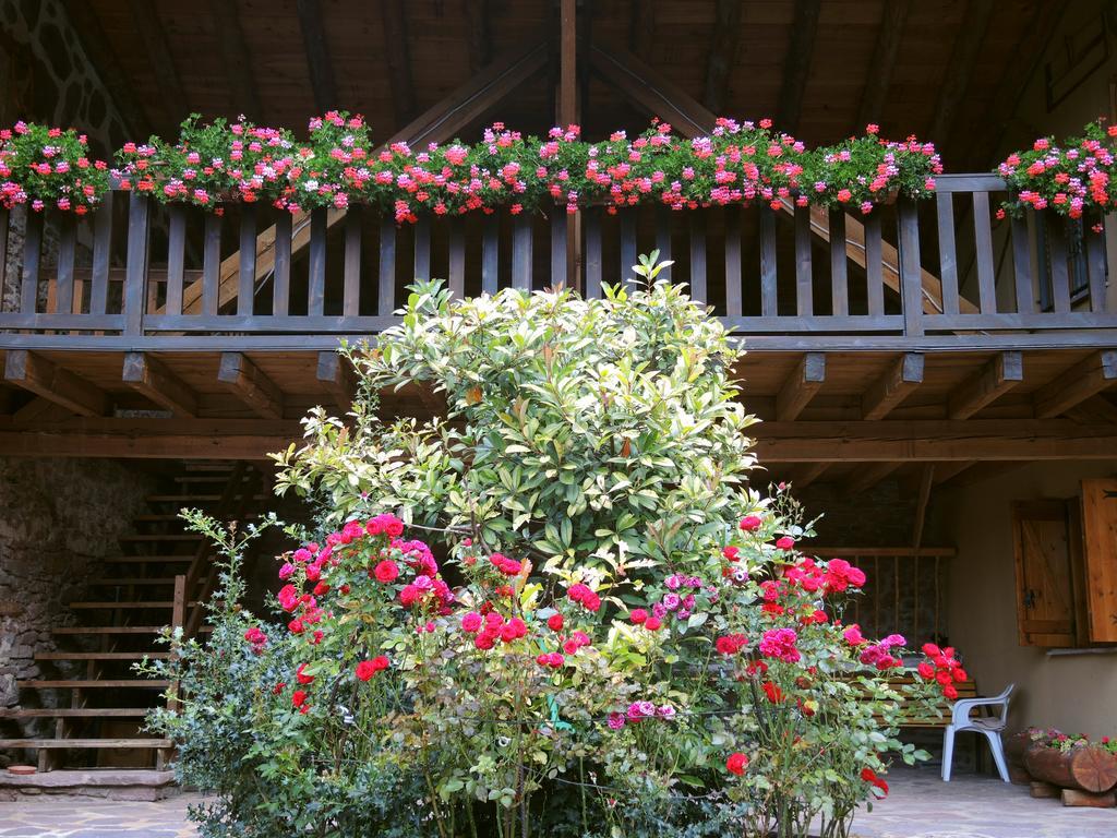Turisme Rural Lo Palle De Cal Bosch Llagunes Zewnętrze zdjęcie
