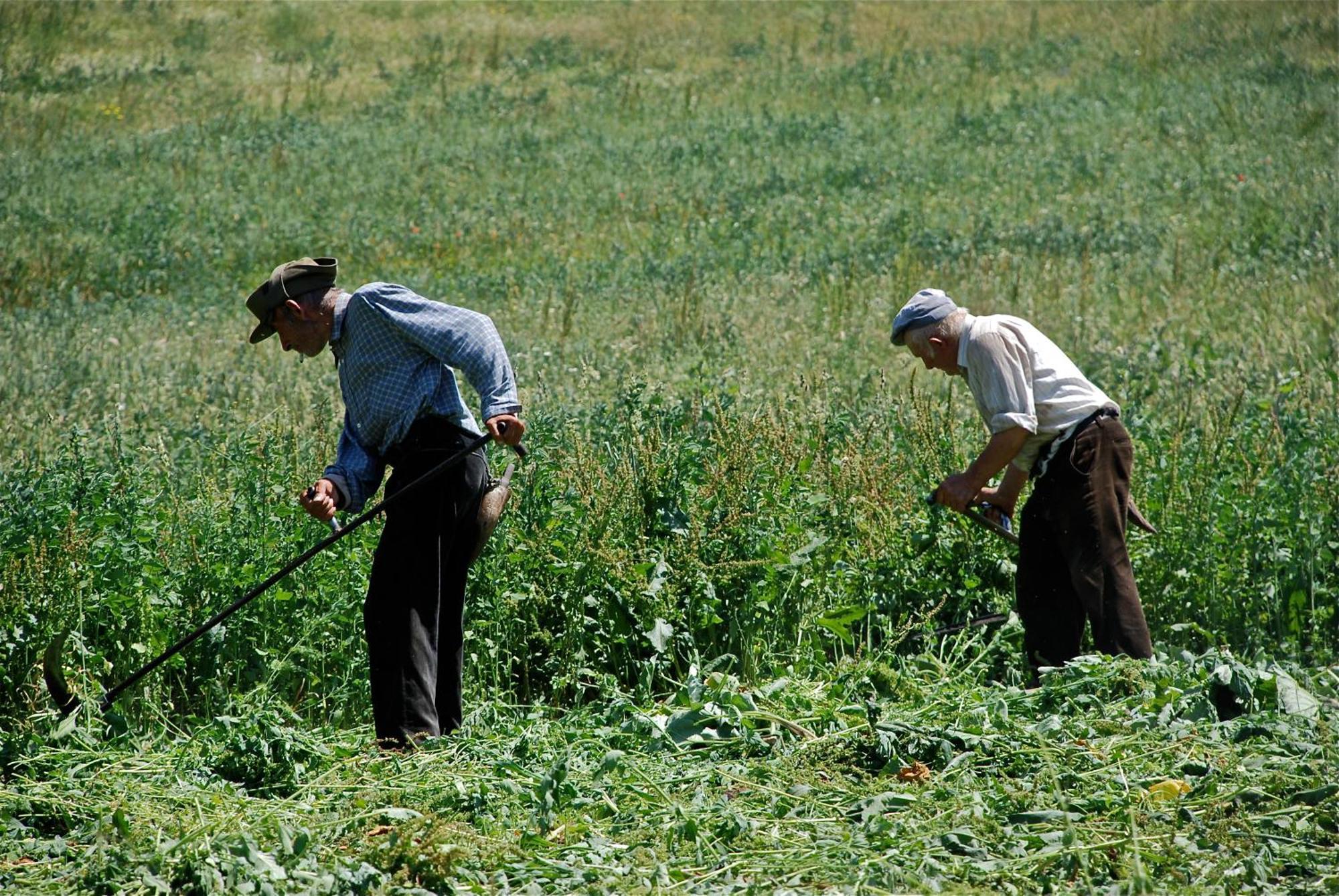 Turisme Rural Lo Palle De Cal Bosch Llagunes Zewnętrze zdjęcie