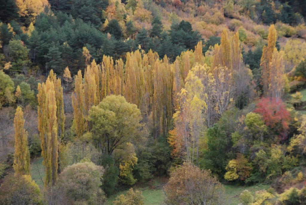 Turisme Rural Lo Palle De Cal Bosch Llagunes Zewnętrze zdjęcie