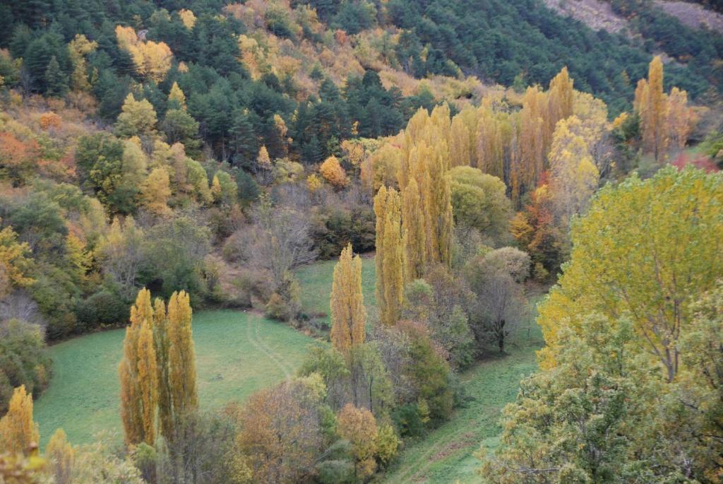 Turisme Rural Lo Palle De Cal Bosch Llagunes Zewnętrze zdjęcie