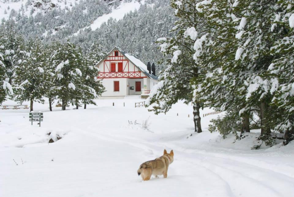 Turisme Rural Lo Palle De Cal Bosch Llagunes Zewnętrze zdjęcie
